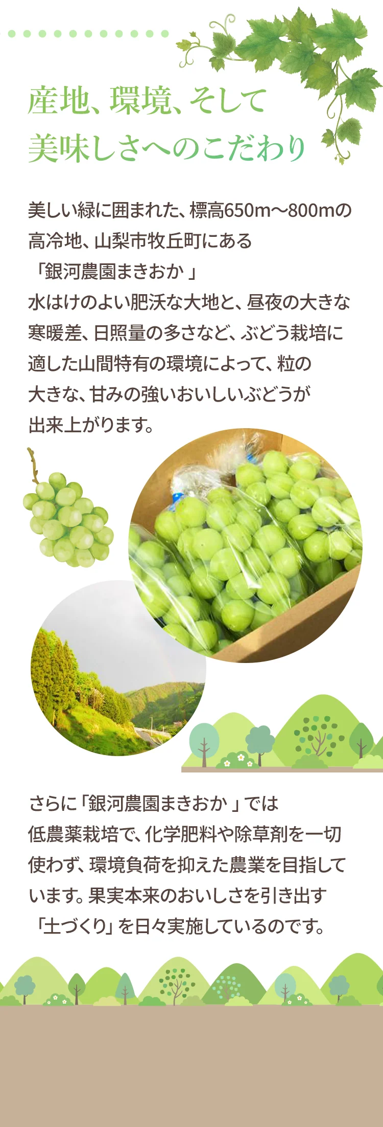 産地、環境、そして美味しさへのこだわり。銀河農園まきおか。